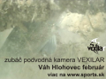 Vexilar FishFone WIFI FP100 podvodn kamera