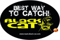 Nlepka Black Cat ierno/lt, 12x8cm