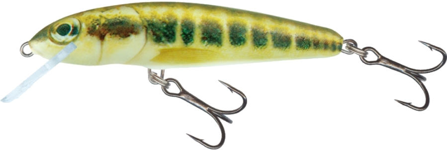 Woblery Rybárske Salmo: MINNOW M6S, potápajúci