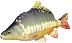 Vank pre rados KAPOR 61cm