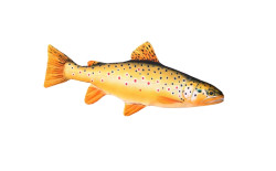 Vank�� pre rados� PSTRUH mini 35-45cm