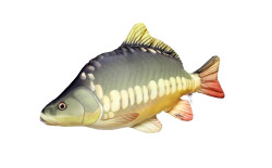 Vank pre rados KAPOR mini 35-45cm