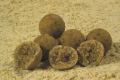 Boilies zmes 50/50 Premium Mix 1kg