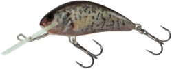 Rybársky wobler HORNET H5SDR, plávajúci - RCR Rybársky wobler HORNET H5SDR, plávajúci - RCR