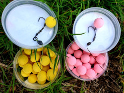 15mm Fluo Pop Up Big Hit 35g - kokos + javorový krém 15mm Fluo Pop Up Big Hit 35g - kokos + javorový krém