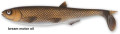 Umelá nástraha potápavá - Yolo Pike - Quantum 22cm/60g Umelá nástraha potápavá - Yolo Pike - Quantum 22cm/60g