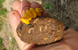 Hotov nadvzec FAITH Power carp rig 20cm - 2ks