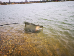 AKCIA kaprársky podberák + plavák 100x100cm AKCIA kaprársky podberák + plavák 100x100cm