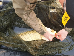 AKCIA kaprársky podberák + plavák 100x100cm AKCIA kaprársky podberák + plavák 100x100cm