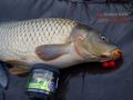 Super Feed Diffusion plvajce Boilies 14+16mm/90g