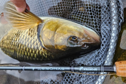 Mukrske prty Synoris Fly - 4 dielne