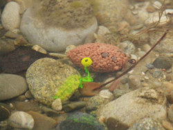  Medzi burinami je nstraha vemi vhodn 