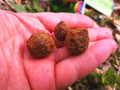 Super Feed X Core Hookers boilies 14/18mm /200ml