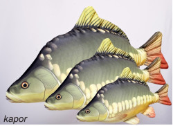 Vank pre rados KAPOR mini 35-45cm