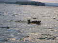 AKCIE - Zavážacia loďka + bezdrôtový sonar do 300m AKCIE - Zavážacia loďka + bezdrôtový sonar do 300m